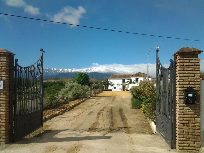 Agroturismo Almazara de Paulenca
