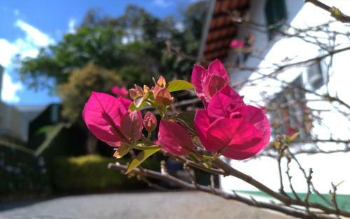 Joinville Hostel & Pousada