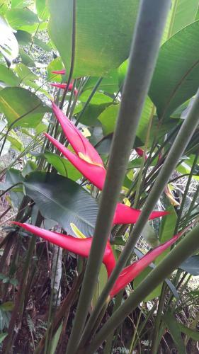 Joinville Hostel & Pousada