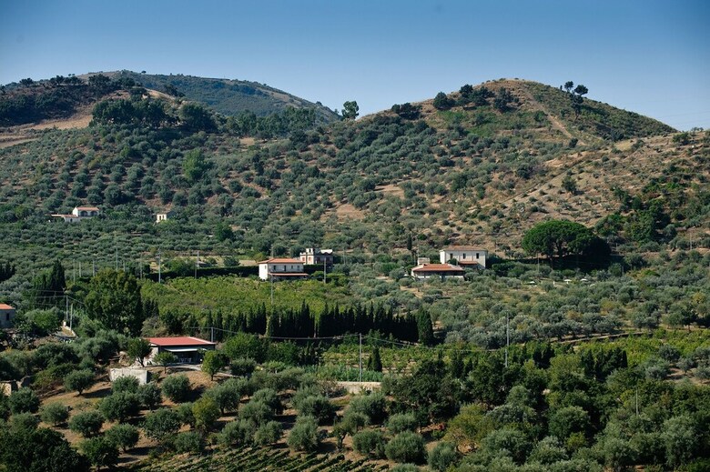 Apartamento La Collina Degli Ulivi - Casa Ulivi 2