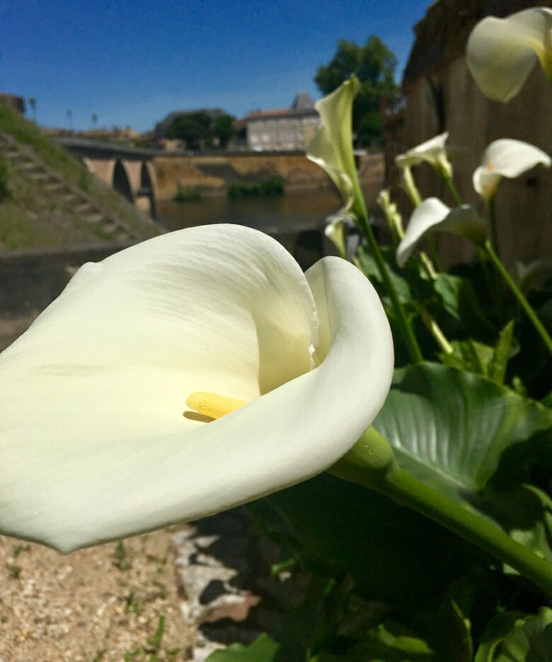 Bed & Breakfast Maison Rapha�l Kafka