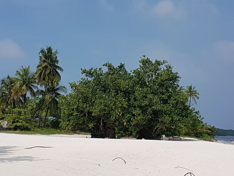 Hotel White Lagoon Fehendhoo