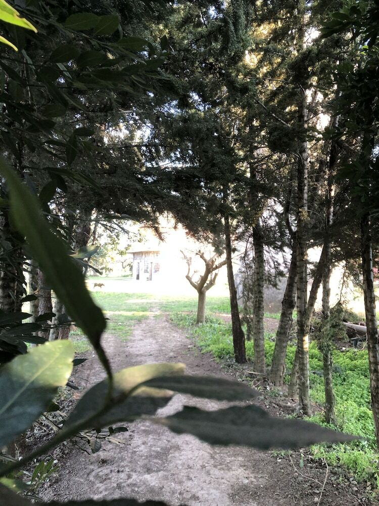 Hotel Decriresort