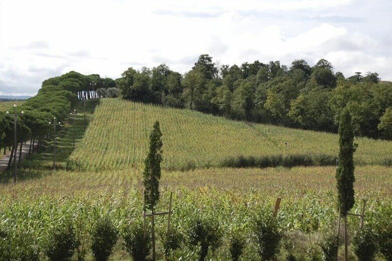 Verdidea - Villa Vera