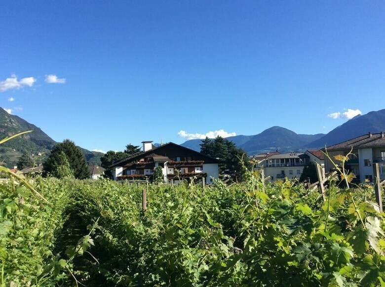 Pension Winzerhof