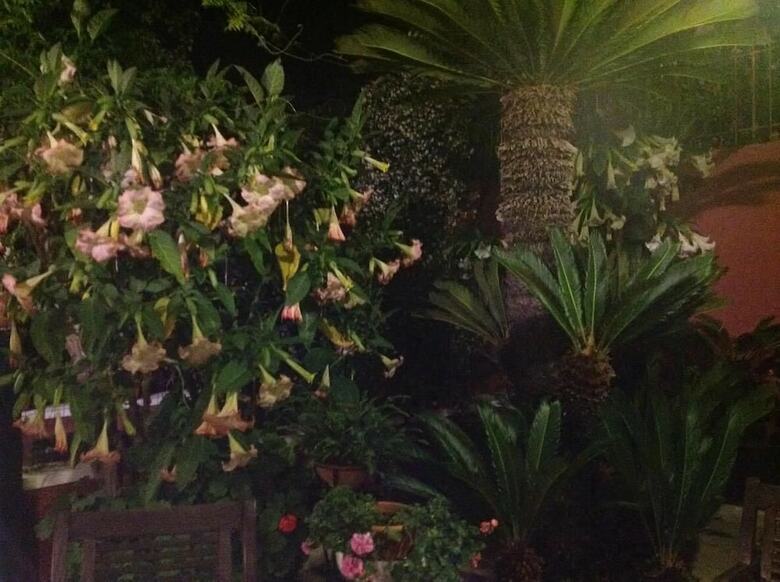 Bed & Breakfast Dimora Benedetta