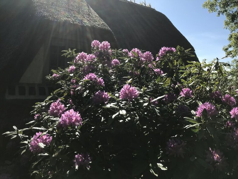 Bed & Breakfast Les Chaumi�res Du Pays D'auge