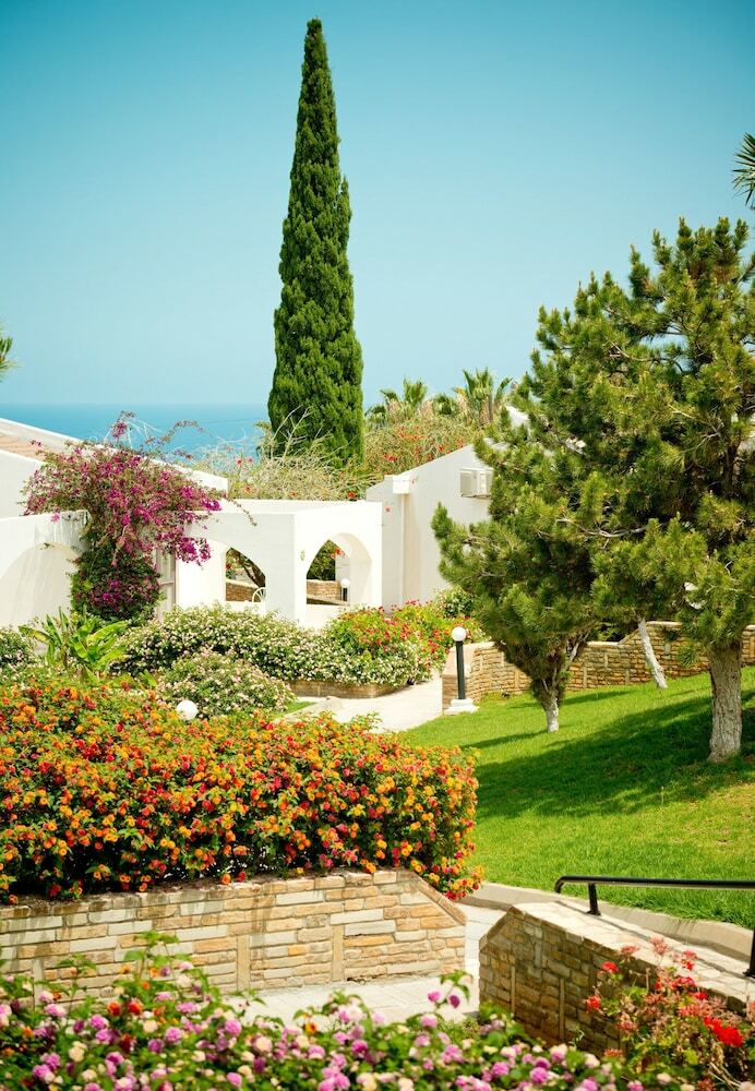 The Olive Tree Hotel