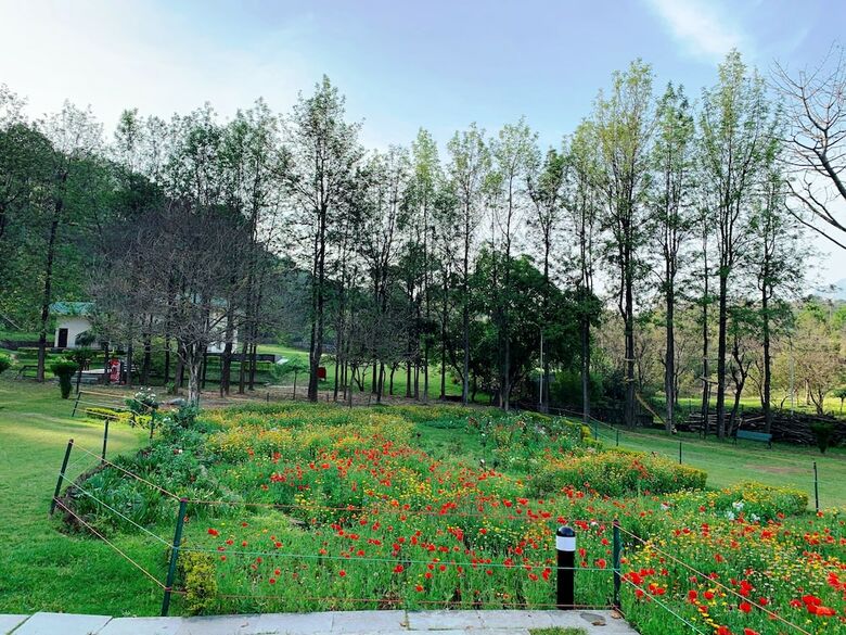 Hotel Country Resort By Ahrpl - Katra