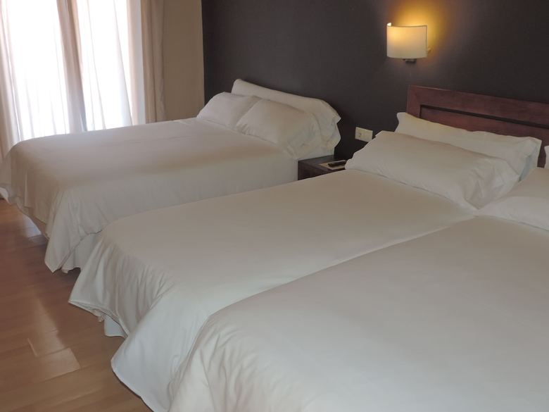 Hotel Puerta de Espa�a