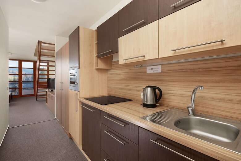 Wellness Hotel ?�?ky