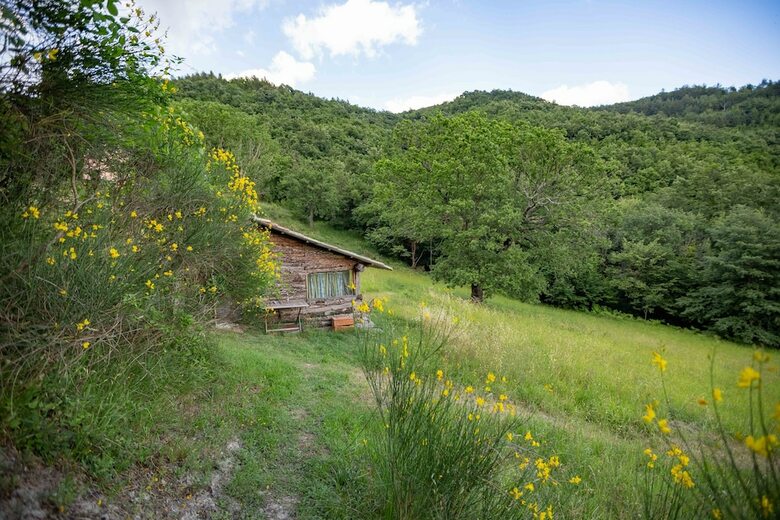 Agroturismo Casa Rosa
