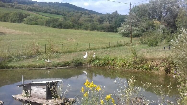 Bed & Breakfast Aux Vignes