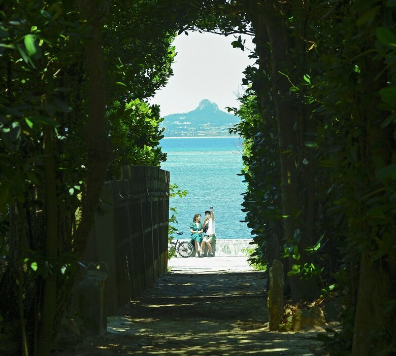Ocean View Terrace Bise