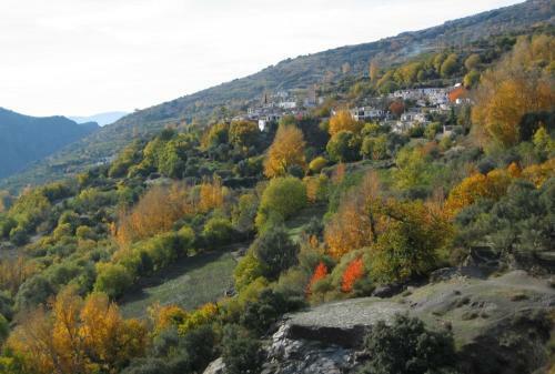 Bed & Breakfast Sierra Y Mar