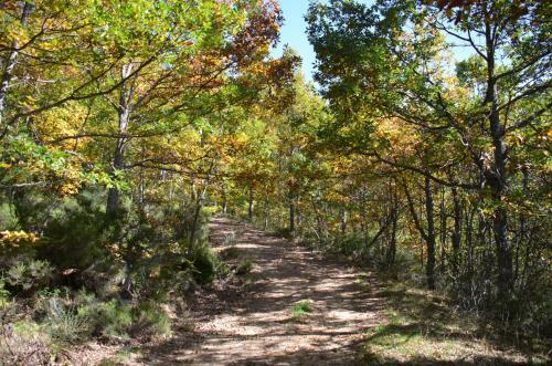 Hostal Centro De Turismo Rural Vegalion