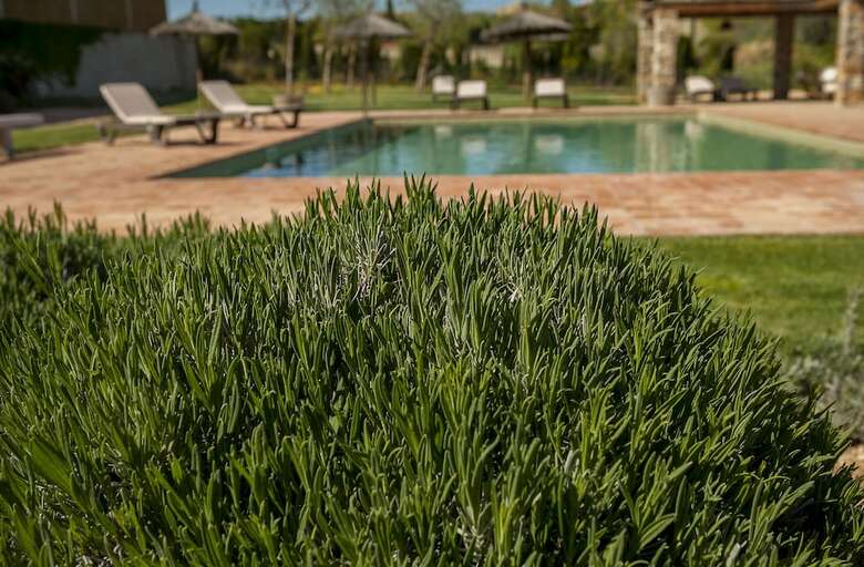 Apartamento Mas Vermell