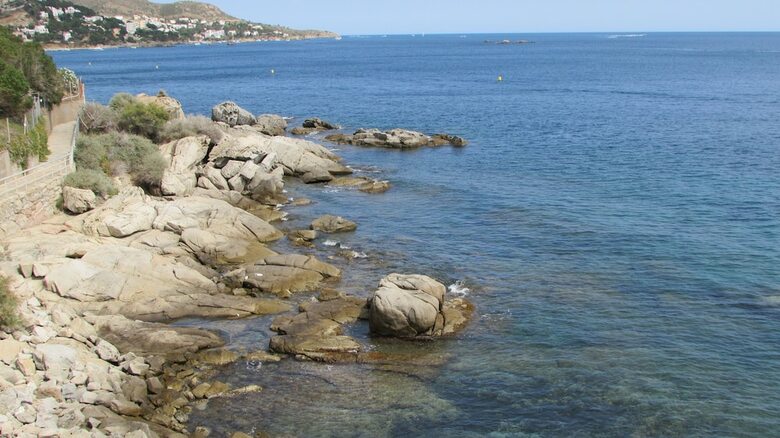 Apartamento A 6 Metros Del Mar En Roses