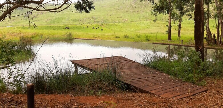 Elands Valley - Flufftail
