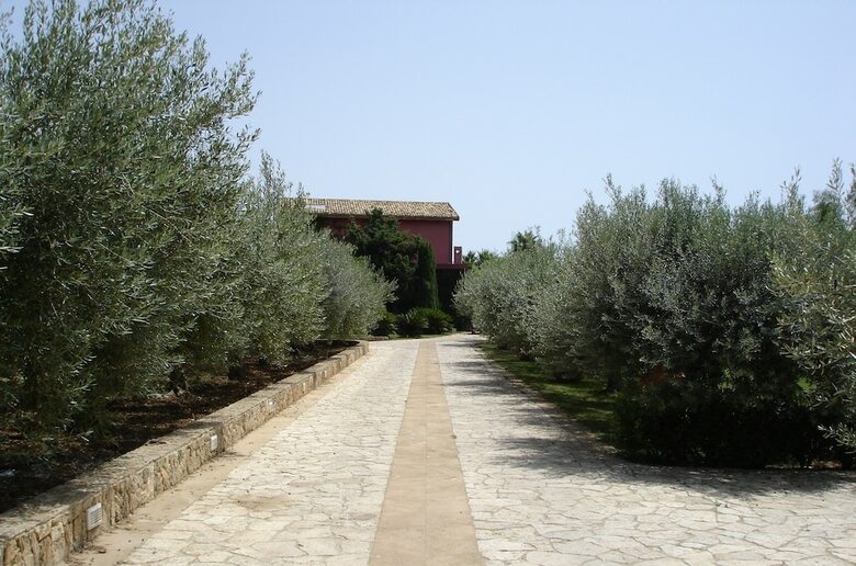 Bed & Breakfast Casarealia