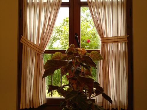 Hostal Casa Fidela