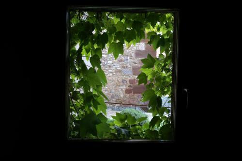 Hotel El Convento De Mave