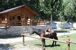 Bungalows Nou Camping