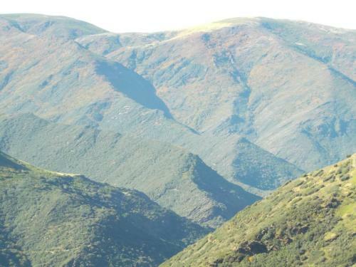 Carriles Romanos