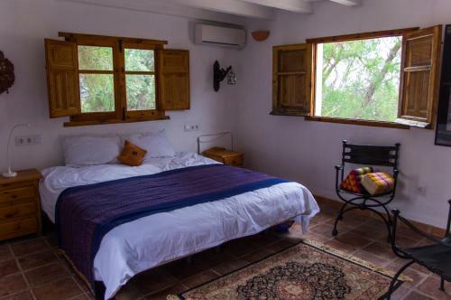 Bed & Breakfast El Diplomatico Feo (the Ugly Diplomat)