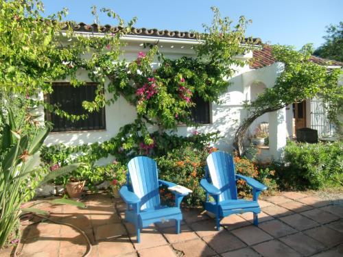 Bed & Breakfast El Diplomatico Feo (the Ugly Diplomat)