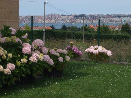 Aparthotel Hotel Y Apartamentos Sur de La Bah�a