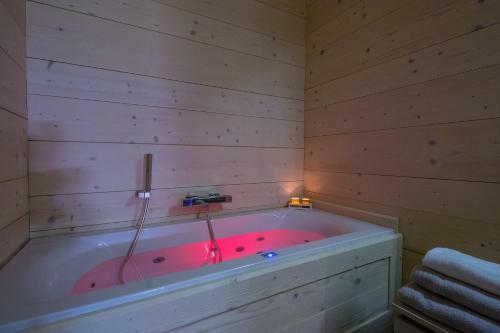 Grand Chalet Le Trappeur - Chamonix