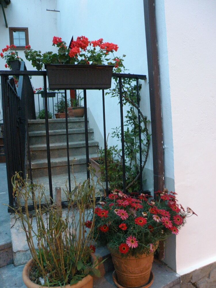 The Old Palace Tower / La Torre Del Palaci�n