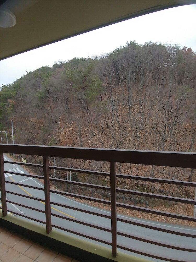 Healingnsajo Resort Chungju Suanbo