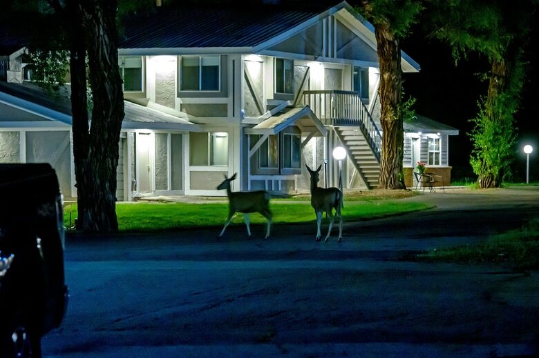 Hotel The Gunnison Inn At Dos Rios Golf Course