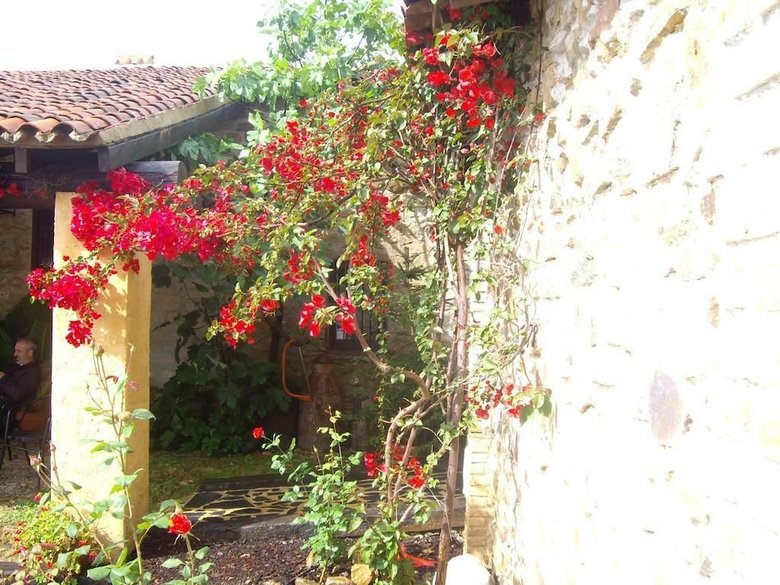 Finca Los Caleros