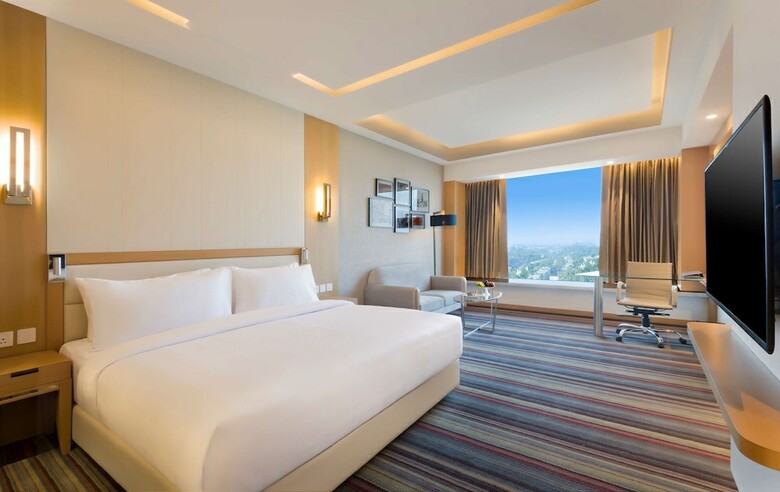 Hotel Radisson Blu Gorakhpur