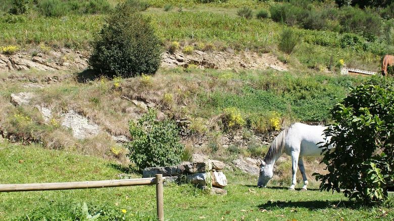 Agroturismo La Costa de Mollo