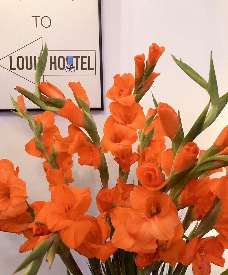 Louis Hotel - Bui Vien Walking Street