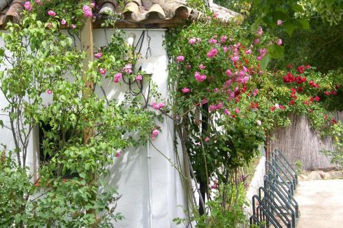 Apartamento Bat�n De Las Monjas