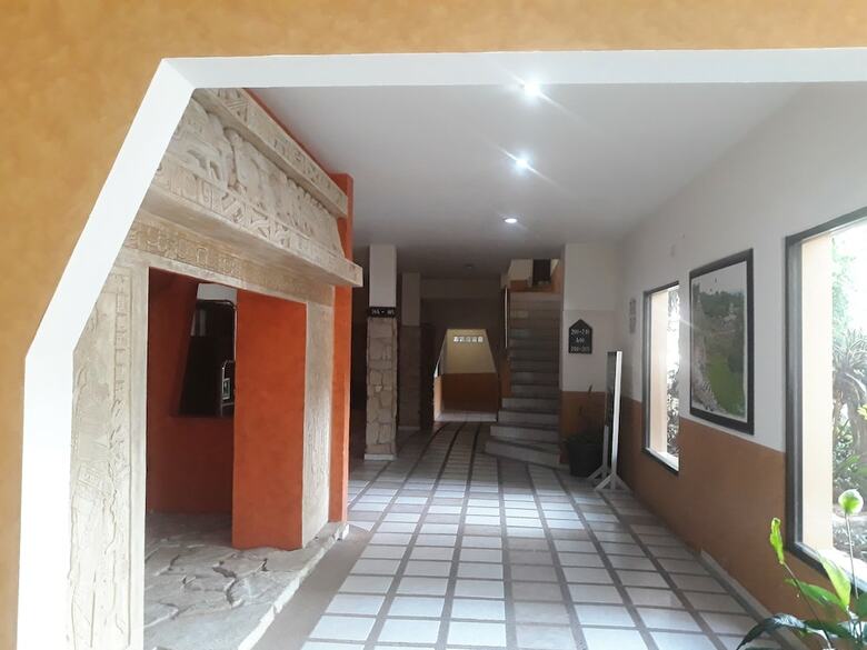 Hotel Maya Tulipanes Express