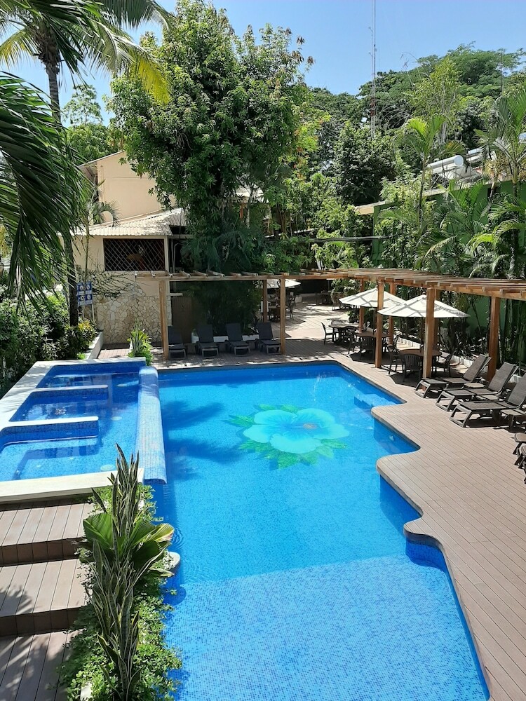 Hotel Maya Tulipanes Express