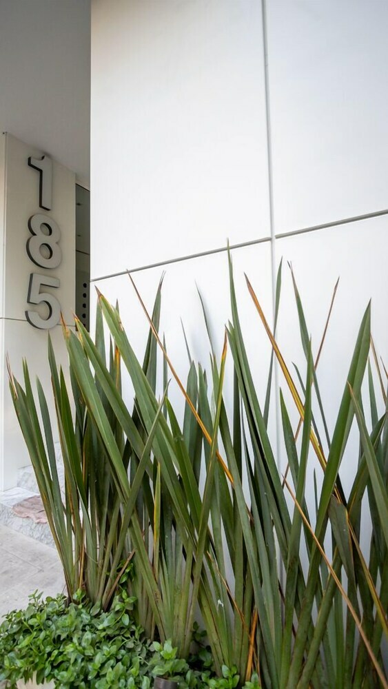 Apartamentos Condesa Boutique Ph By Livemexicocity