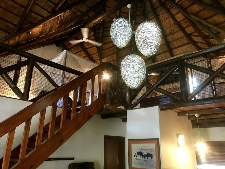 Rhinos Rest