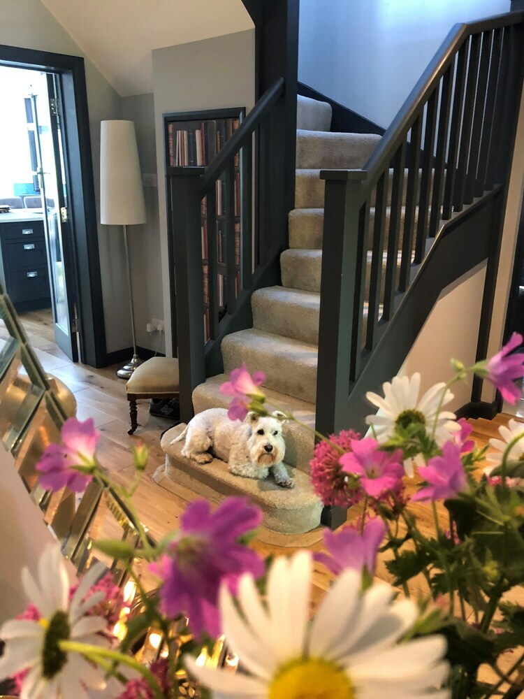 Bed & Breakfast The Niche