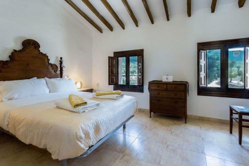 Hostal The Olive Tree