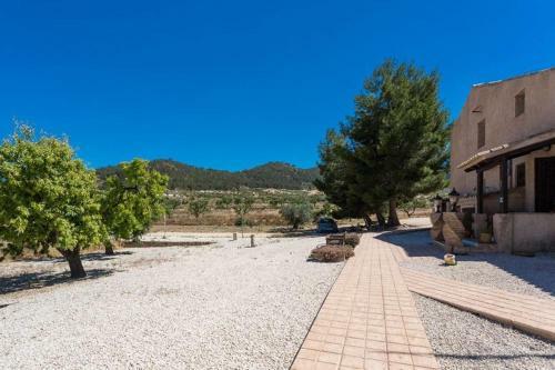 Hostal The Olive Tree