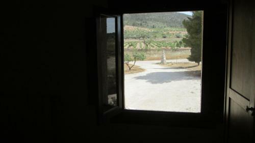 Hostal The Olive Tree