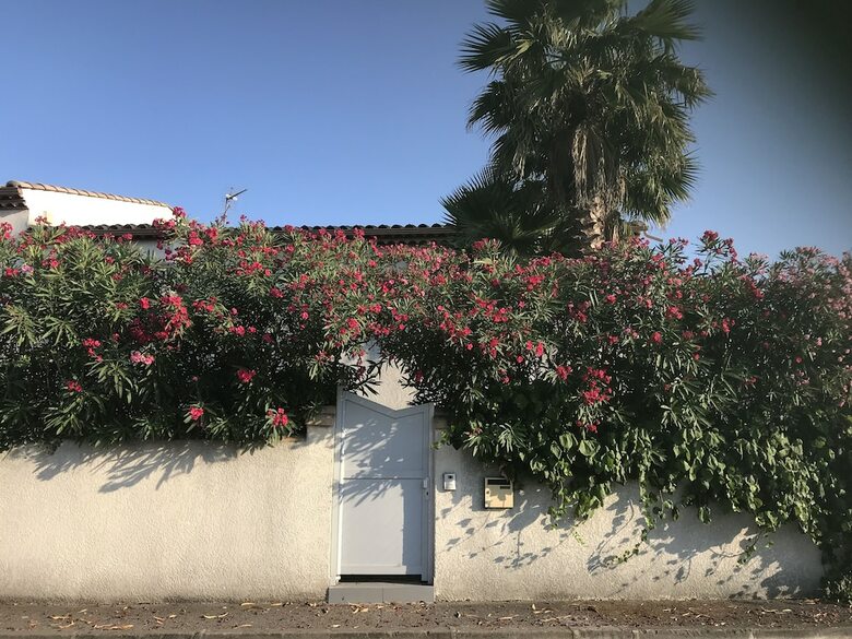 Apartamento Villa Jodie