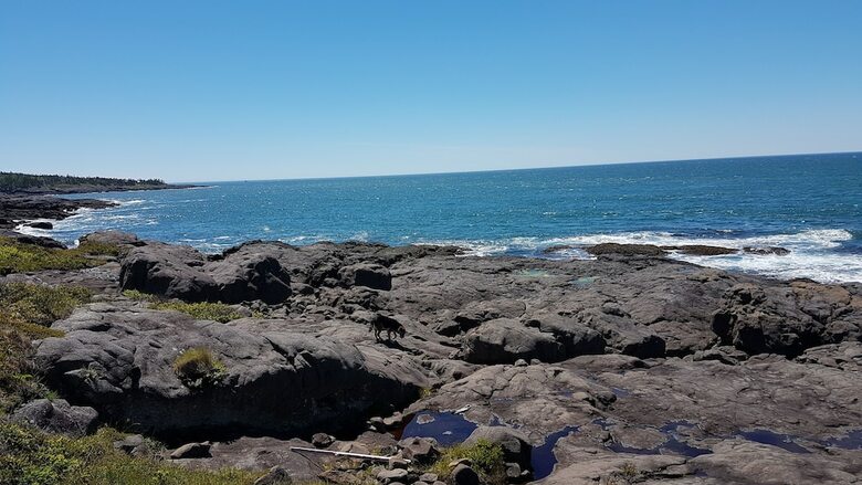 Posada Whale Cove Inn